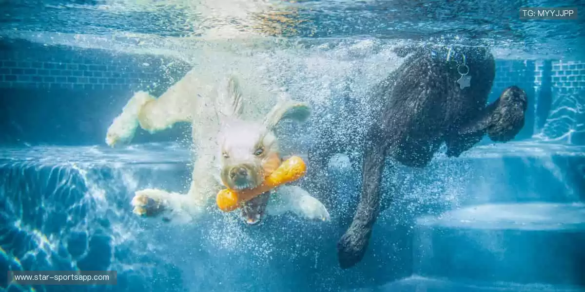 👟潮流周边,让运动与时尚完美碰撞!