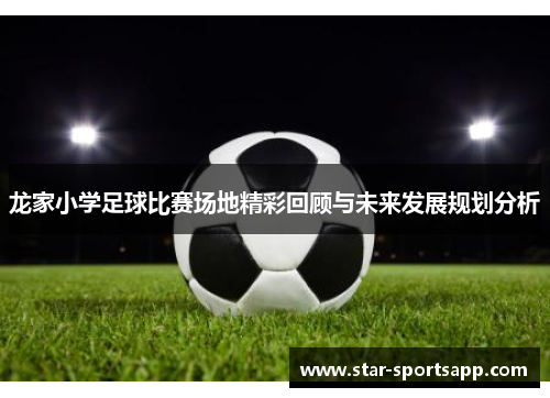 龙家小学足球比赛场地精彩回顾与未来发展规划分析